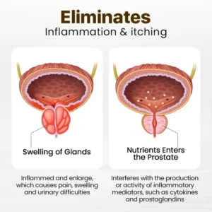 🎄🎁Limited-Time Xmas Offer —TAILEDEN™ Prostate Massage Bee Wellness Inhaler